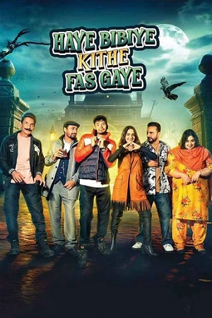 Haye Bibiye Kithe Fas Gaye (2024) WEB-DL {Punjabi DD5.1} Full Movie 480p | 720p| 1080p Haye Bibiye Kithe Fas Gaye (2024) WEB-DL {Punjabi DD5.1} Full Movie 480p | 720p| 1080p
